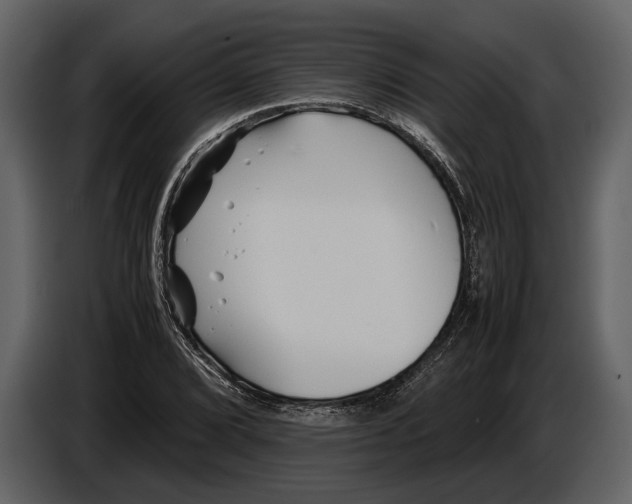 X0000086961072200705071331