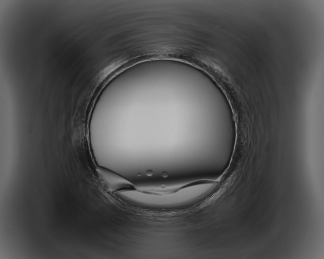 X0000086961073200705071331