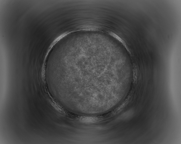 X0000086961074200705071331