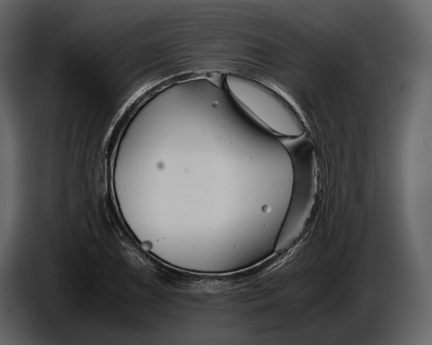 X0000086961075200705071331