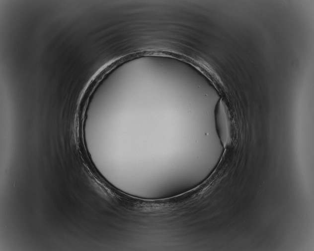 X0000086961076200705071331
