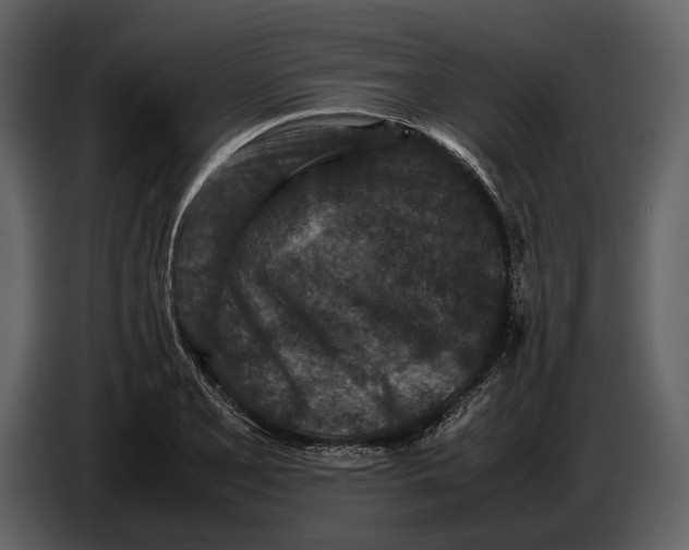 X0000086961077200705071331