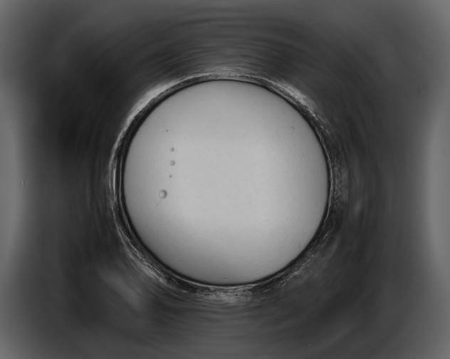 X0000086961078200705071331