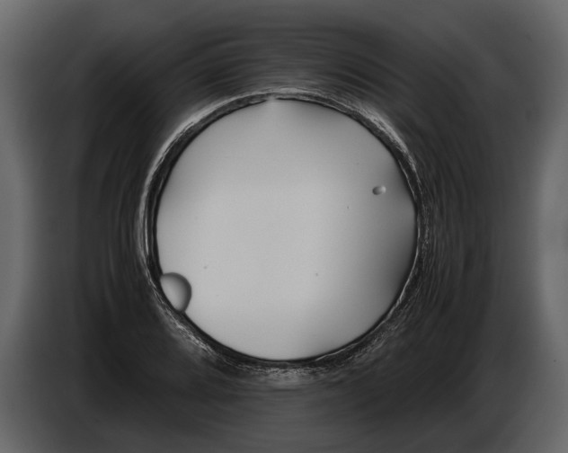 X0000086961080200705071331