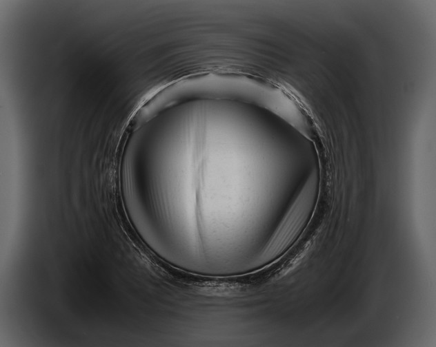 X0000086961081200705071331