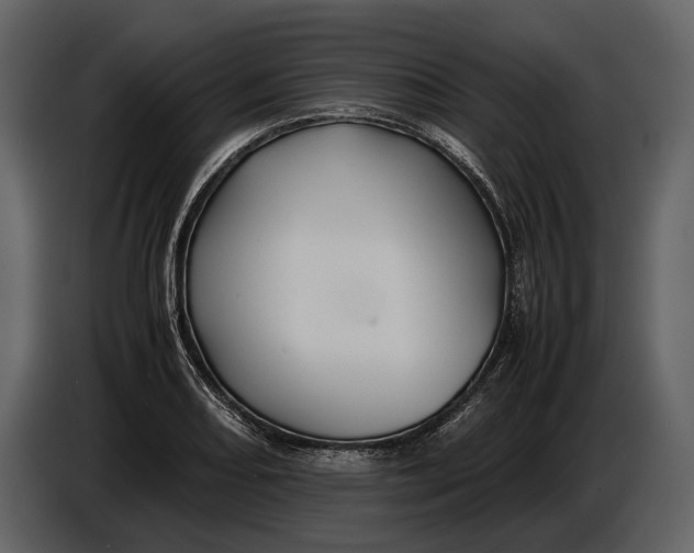 X0000086961082200705071331