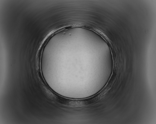 X0000086961083200705071331