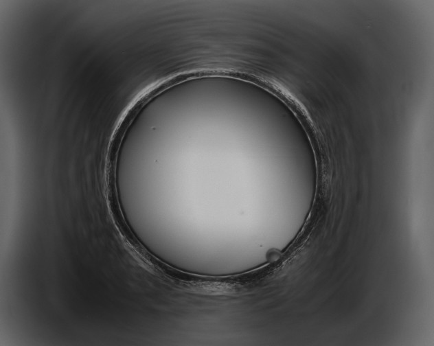 X0000086961085200705071331