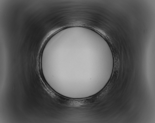 X0000086961086200705071331