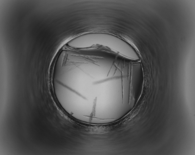 X0000086961087200705071331
