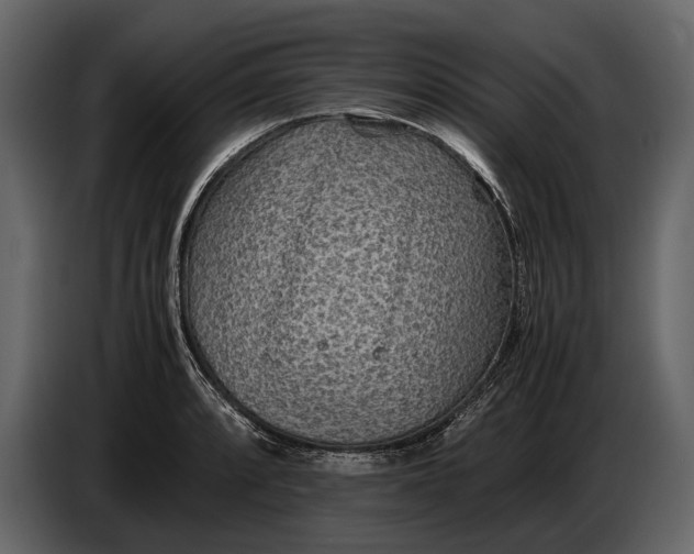 X0000086961088200705071331