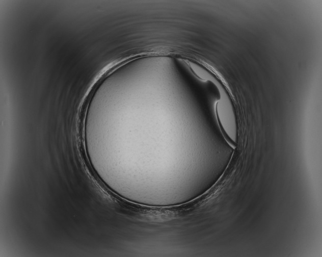X0000086961091200705071331