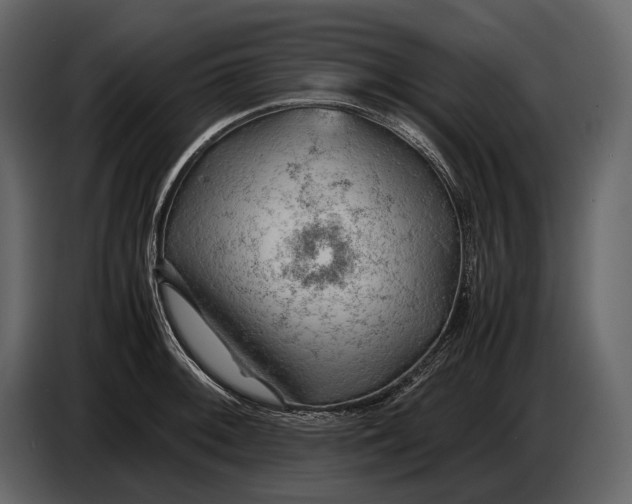 X0000086961092200705071331