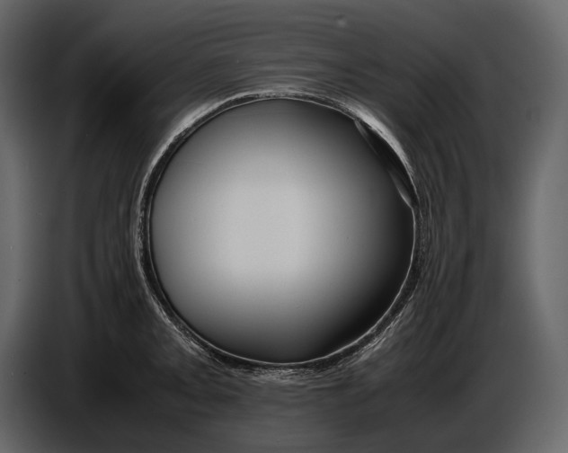X0000086961093200705071331