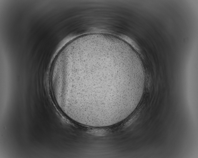 X0000086961094200705071331