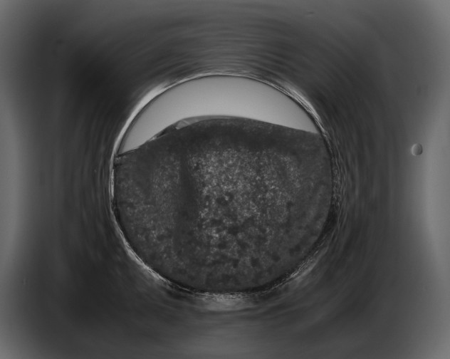 X0000086961095200705071331