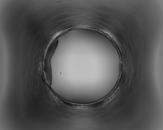 X0000086961097200705071331