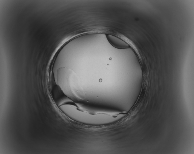 X0000086961099200705071331