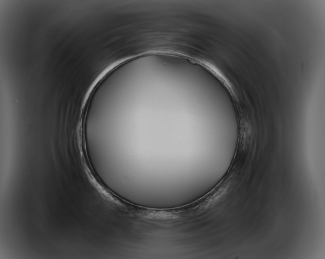 X0000086961100200705071331