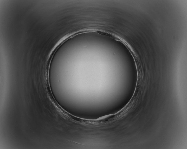 X0000086961101200705071331