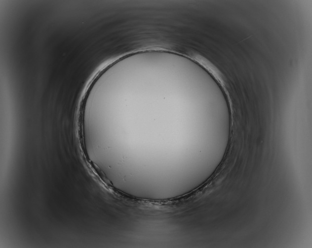 X0000086961104200705071331