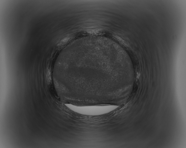 X0000086961106200705071330