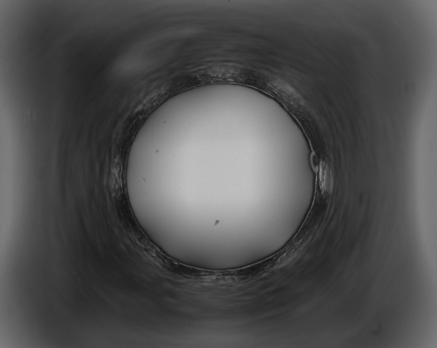 X0000086961107200705071330