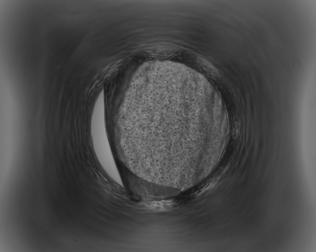 X0000086961108200705071330