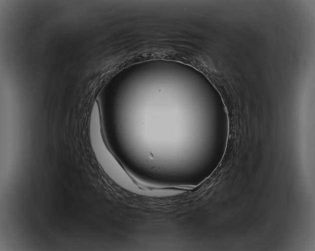 X0000086961109200705071330