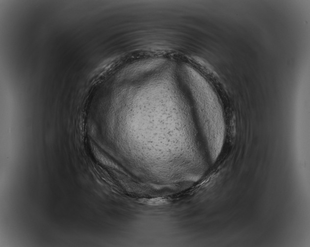 X0000086961110200705071330