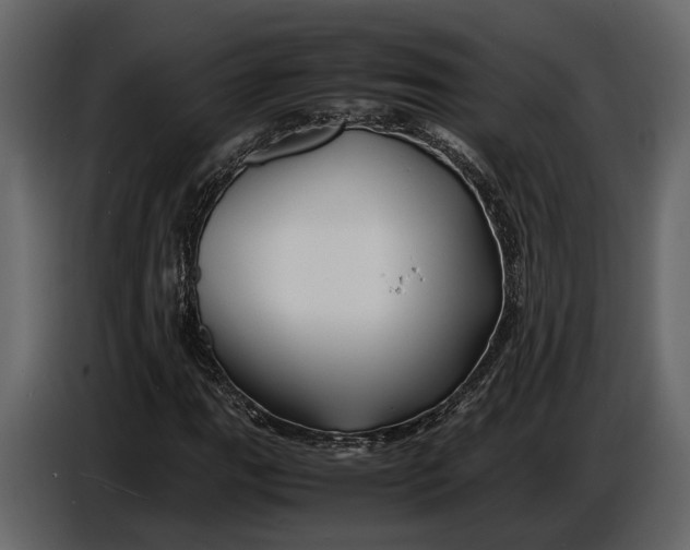 X0000086961111200705071330