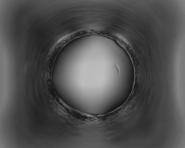 X0000086961112200705071330