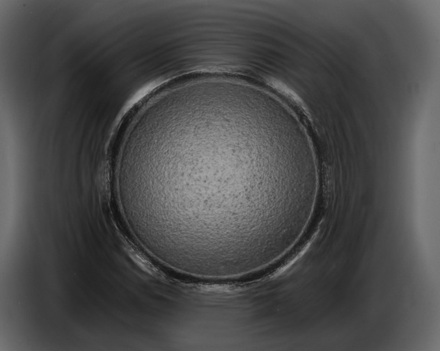 X0000086961114200705071330