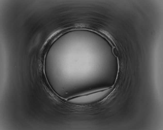 X0000086961115200705071330