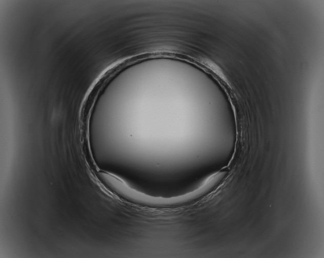 X0000086961116200705071330