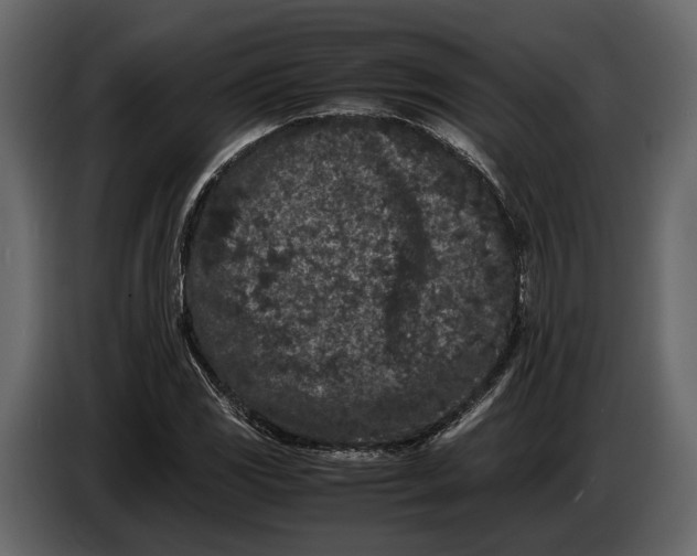 X0000086961117200705071330