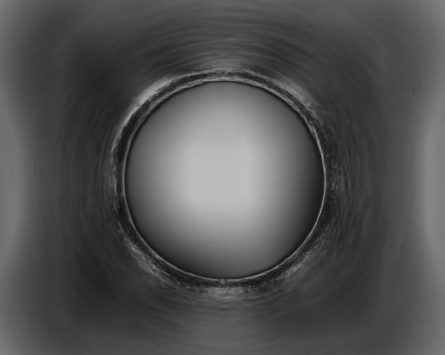 X0000086961118200705071330