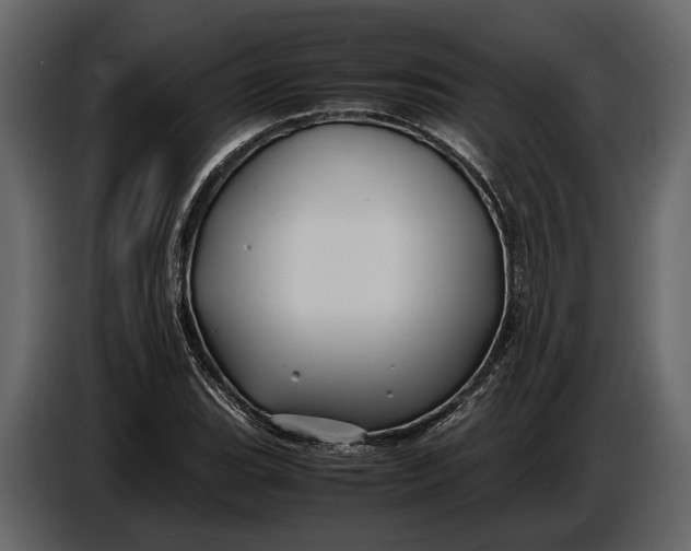 X0000086961119200705071330