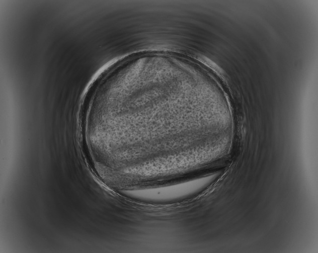 X0000086961120200705071330