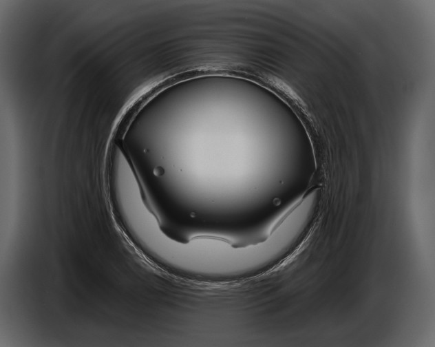 X0000086961122200705071330