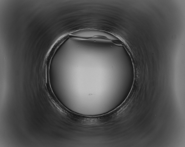 X0000086961123200705071330