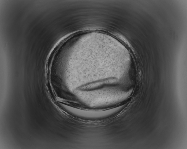 X0000086961124200705071330