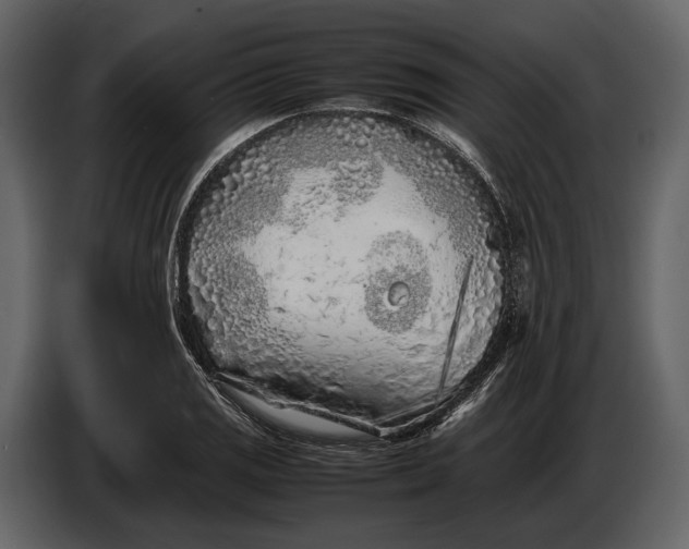 X0000086961125200705071330