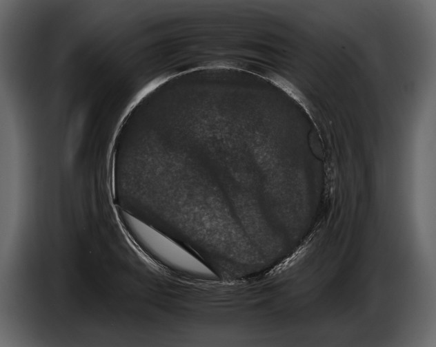 X0000086961127200705071330