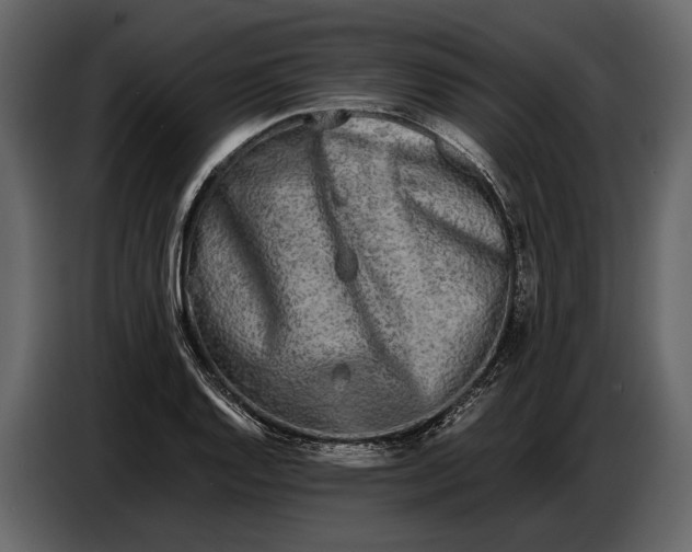 X0000086961128200705071330