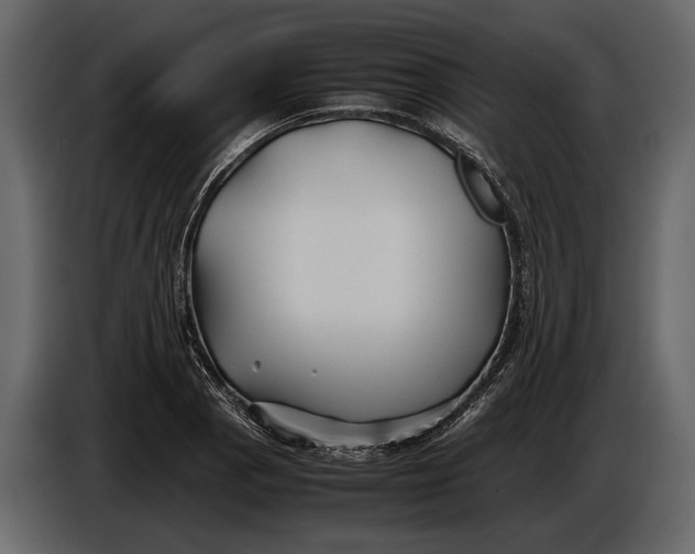 X0000086961129200705071330