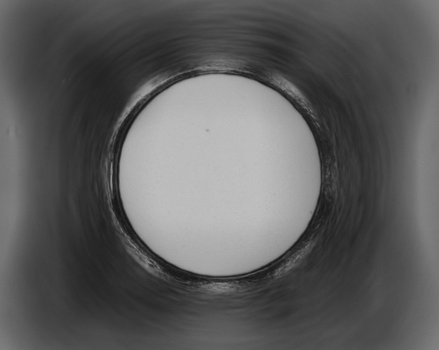 X0000086961130200705071330