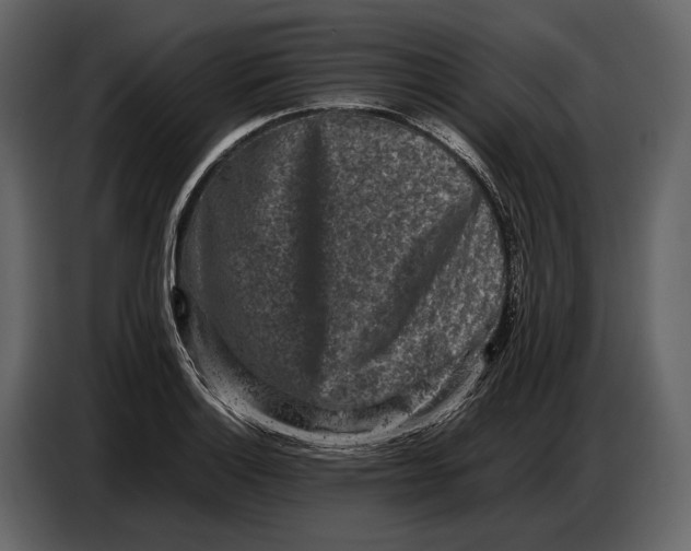 X0000086961132200705071330