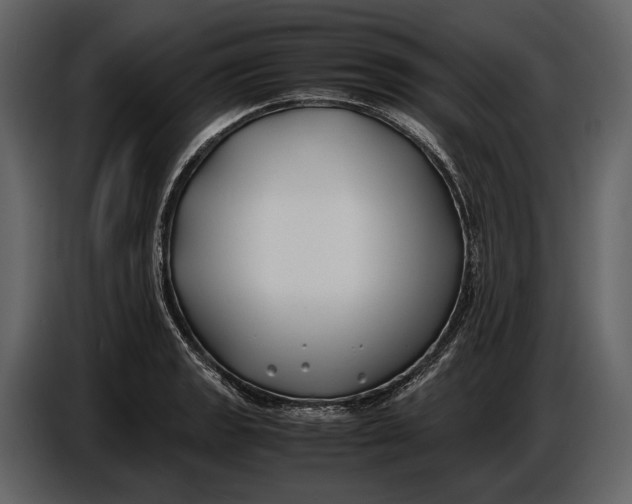 X0000086961133200705071330