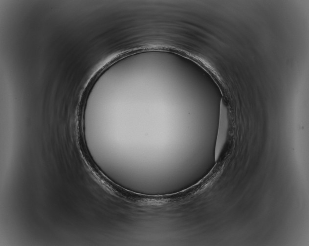 X0000086961134200705071330